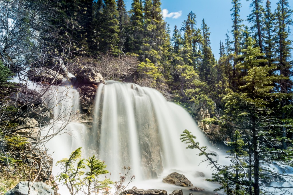 Landscape and Wildlife Photographer, Cochrane, Calgary